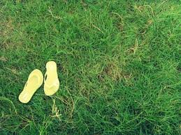 images_056